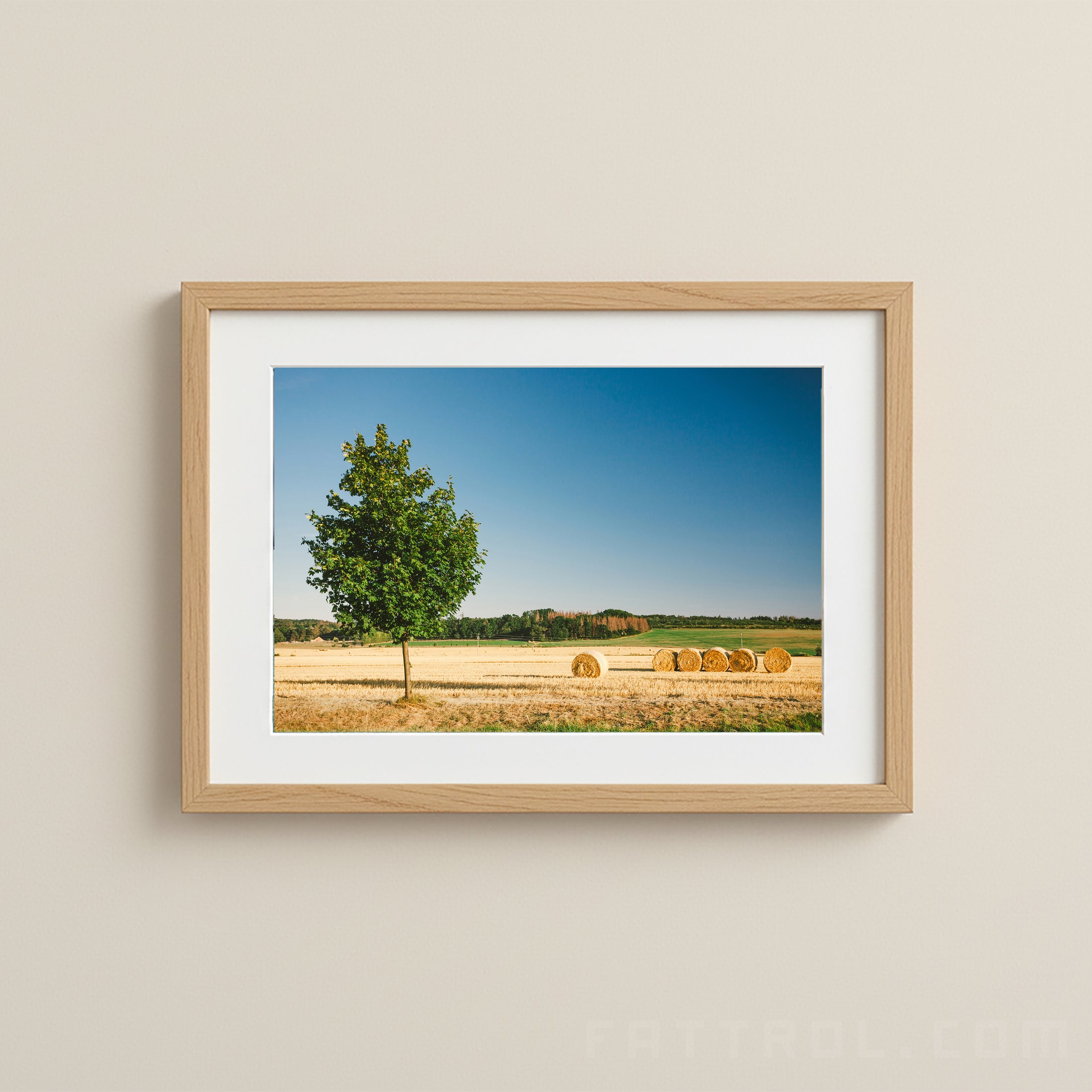 Lone Tree & Hay Bales — Avignon Fine Art Print