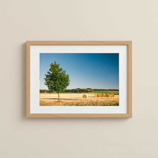 Lone Tree & Hay Bales — Avignon Fine Art Print