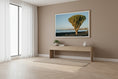 Load image into Gallery viewer, Coastal Cactus, Lanzarote — wall-art display photograph by Kirill Rudenko