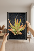 Bild in Galerie-Betrachter laden, Aloe vera leaves turning orange and green under sunlight, desert botanical photography for modern interiors