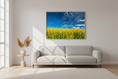 Bild in Galerie-Betrachter laden, Landscape photo of canola flowers under open sky, modern nature-inspired wall decor print