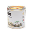 Load image into Gallery viewer, Air From Rome, Italy