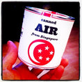 Bild in Galerie-Betrachter laden, Original Canned Air aus Singapur, Gag-Souvenir, Geschenk, Erinnerungsstücke