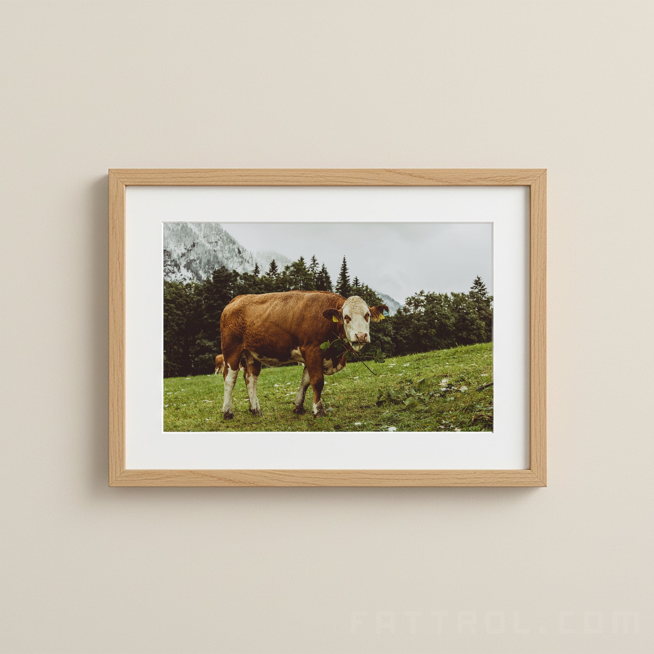 Alpine Brown Cow – Austrian Alps Fine Art Landscape Print