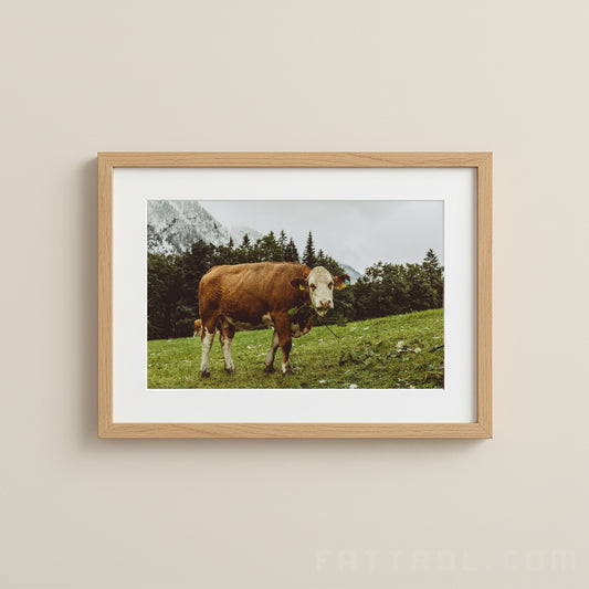 Alpine Brown Cow – Austrian Alps Fine Art Landscape Print