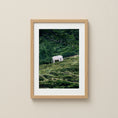 Load image into Gallery viewer, White cow grazing on a green alpine hillside in the Austrian Alps.
