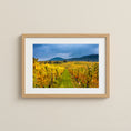 Load image into Gallery viewer, Autumn vineyards in Alsace, France — golden vines under dramatic skies, fine art photography print.
