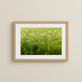 Load image into Gallery viewer, Chamomile Field — Moravia Fine Art Print
