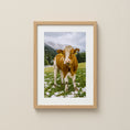 Load image into Gallery viewer, Cow in the Austrian Alps – Fine Art Photography Print
