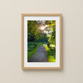 Load image into Gallery viewer, Sunlit Forest Path with Wooden Bridge — Czech Countryside Fine Art Photography Print
