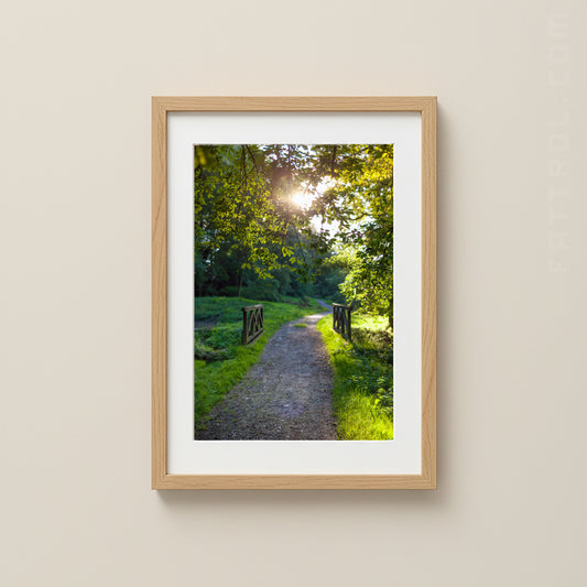 Sunlit Forest Path with Wooden Bridge — Czech Countryside Fine Art Photography Print