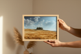 Load image into Gallery viewer, Cypress Grove — Tuscany Fine Art Print
