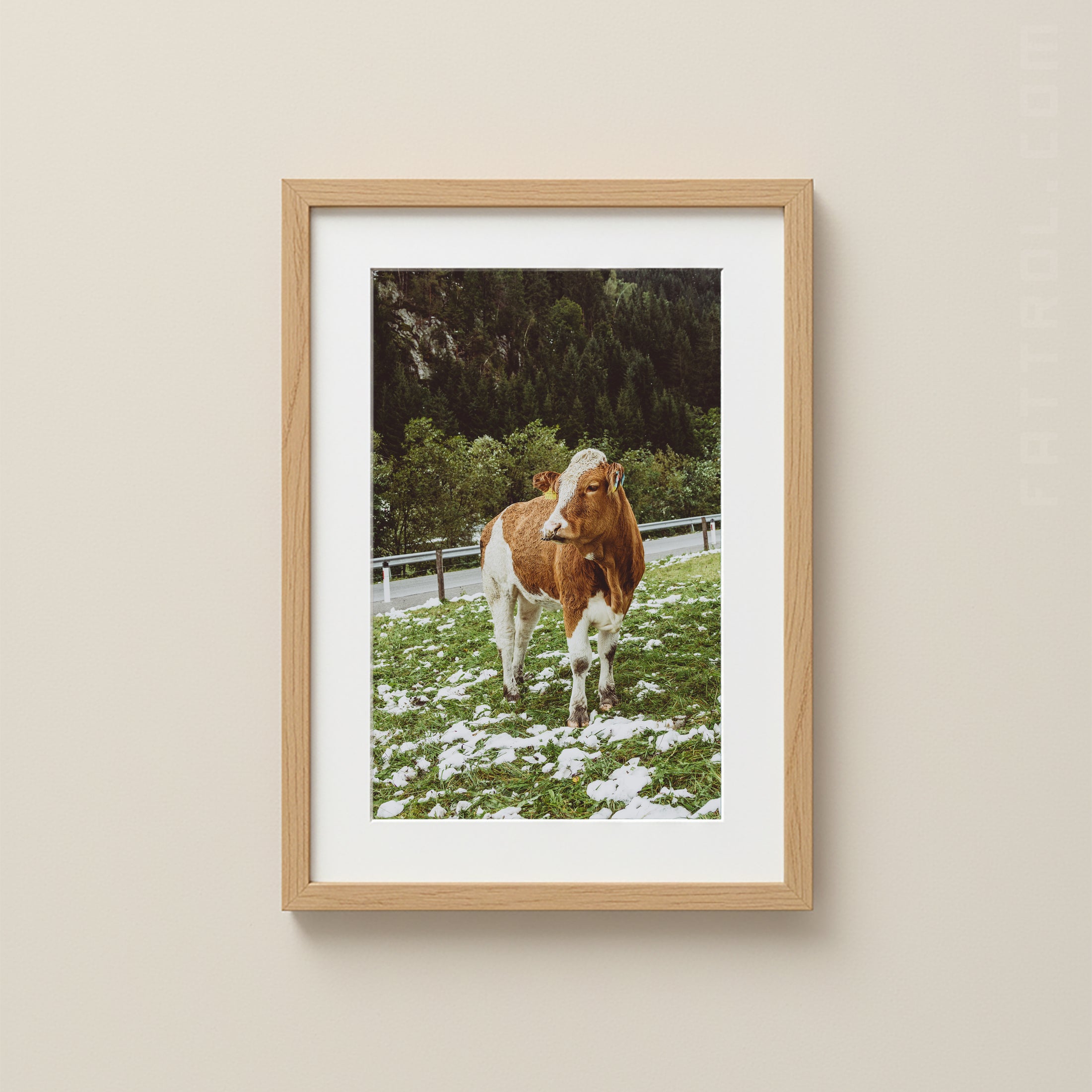 Winter in the Mountains – Alpine Cow Fine Art Photography Print