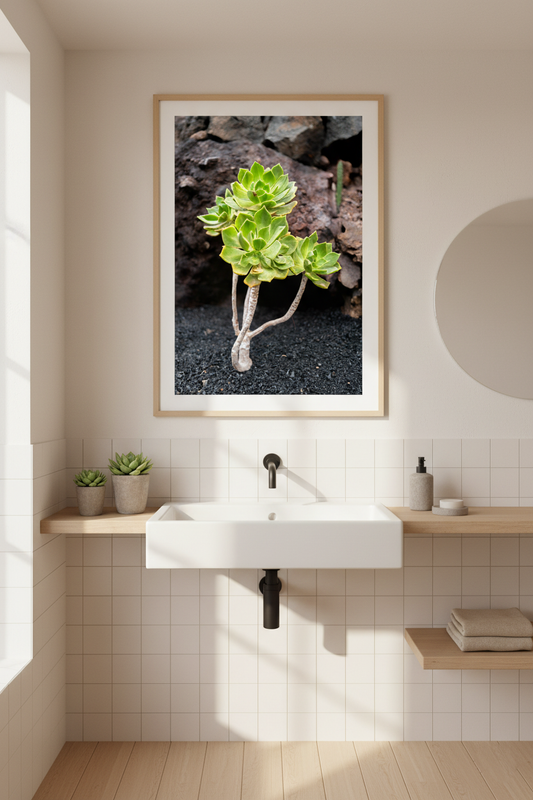 Bright green succulent plant growing on volcanic rock, perfect for modern botanical photo print
