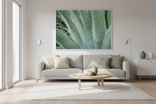 Close-up photograph of agave plant leaves with smooth green texture, perfect for botanical wall art prints