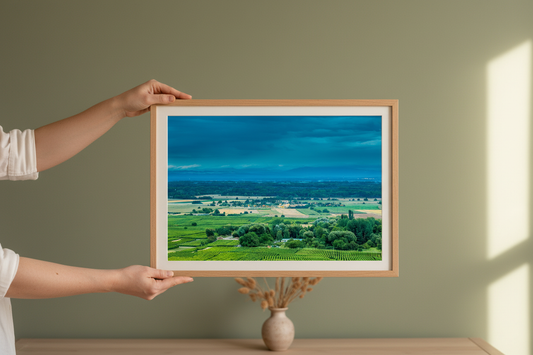 Alsace Vineyards, Colmar — original fine art photograph by Kirill Rudenko, Fattrol