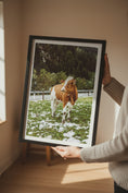 Load image into Gallery viewer, Winter in the Mountains – Alpine Cow Fine Art Photography Print
