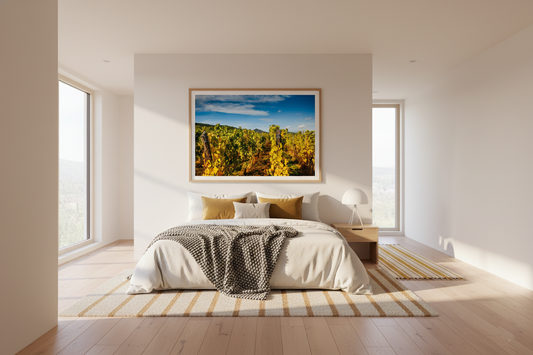 Autumn Vineyard, Alsace — original fine art photograph by Kirill Rudenko, Fattrol