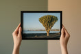 Load image into Gallery viewer, Coastal Cactus, Lanzarote — Fattrol fine art photography print, framed in interior
