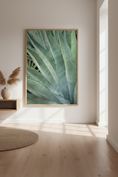Load image into Gallery viewer, Macro photograph of agave plant leaves showcasing elegant lines and calming green tones

