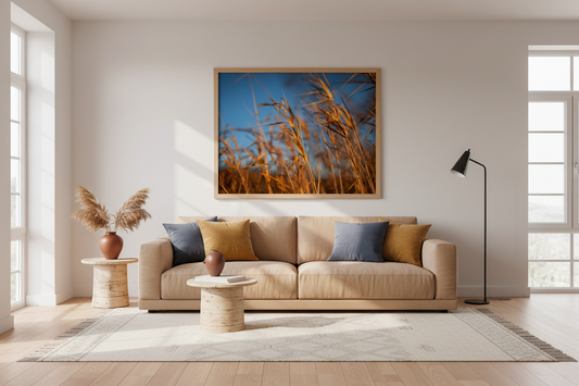 Golden Field Grasses – Nature Fine Art Photography Print