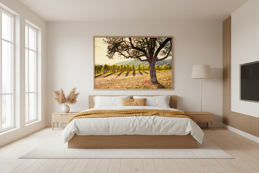 Tuscany Vineyard — Italy Fine Art Print