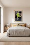 Load image into Gallery viewer, Botanical photography of a desert succulent on volcanic soil, modern wall art print
