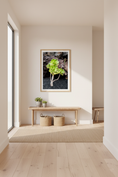 Load image into Gallery viewer, Elegant succulent plant photography, ideal for minimalist home or office wall decor
