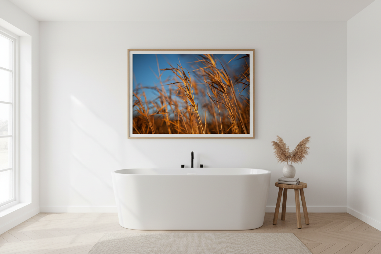 Golden Field Grasses – Nature Fine Art Photography Print