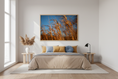 Load image into Gallery viewer, Golden Field Grasses – Nature Fine Art Photography Print

