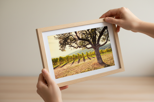 Tuscany Vineyard — Italy Fine Art Print