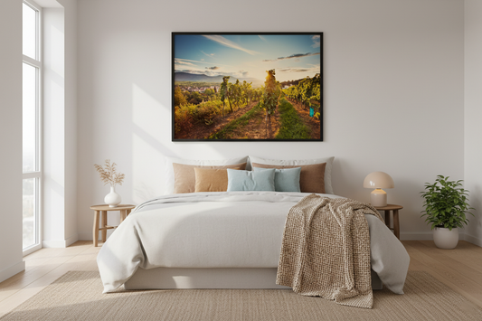 Alsace Vineyard — Obernai Fine Art Print