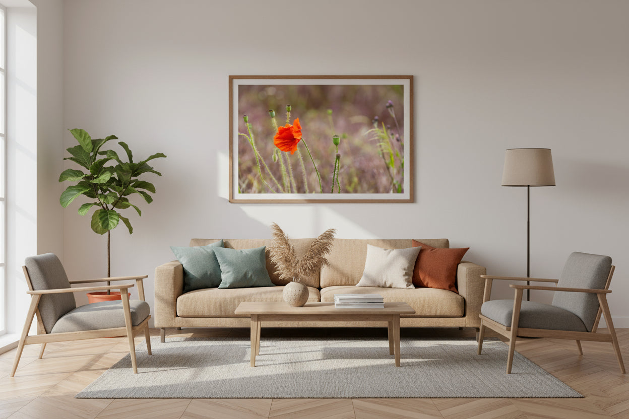 Poppy Flower in Tuscany – Fine Art Photography Print