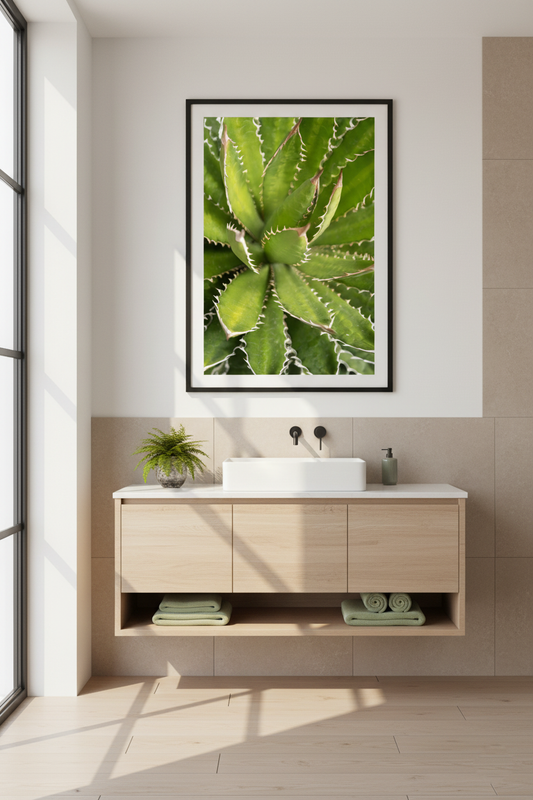 Agave Geometry — Fine Art Botanical Photography Print