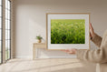 Load image into Gallery viewer, Person holding a framed picture of a grassy field in a minimalistic room.
